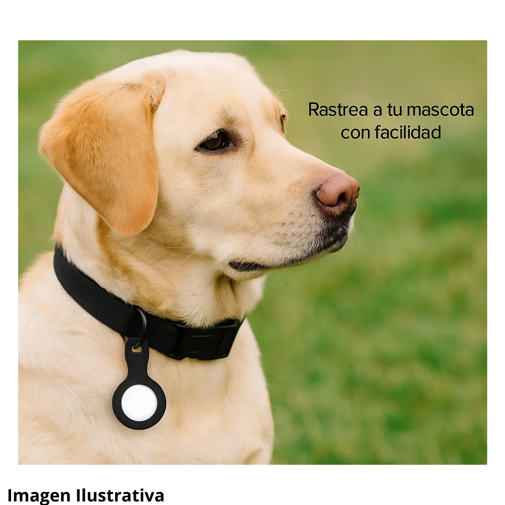 GPS MULTIFUNCIONAL